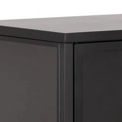 Norrwood Vitrine Cascavel I - Métal - Noir -Commodes Soldes 1000305897 211109 13074800046 DETAILS P000000001000305897