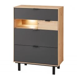 Fashion For Home Meuble à chaussures Leox - Avec éclairage inclus - Graphite / Imitation chêne artisan